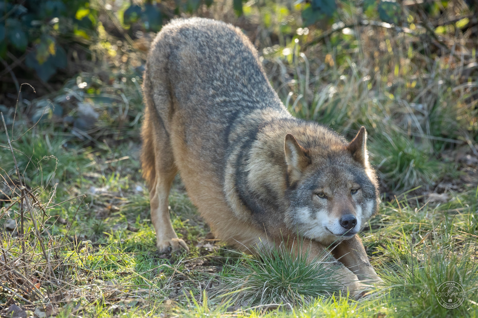 28 januari 2023 141233 1R2A7780 bewerkt